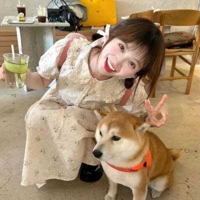 家庭治愈